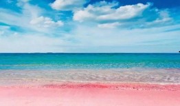 粉色沙滩爆料是真的吗视频,真实视频揭秘神秘海滩之谜